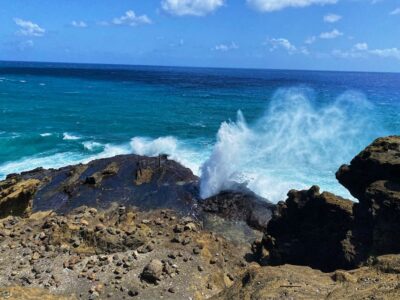 Diamond Head Crater Hike and North Shore Experience