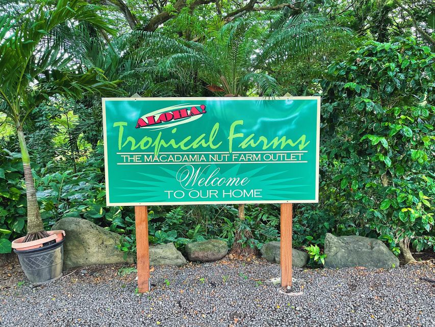 Oahu: Diamond Head Crater Hike and North Shore Experience - Sunset Beach and the North Shore atmosphere