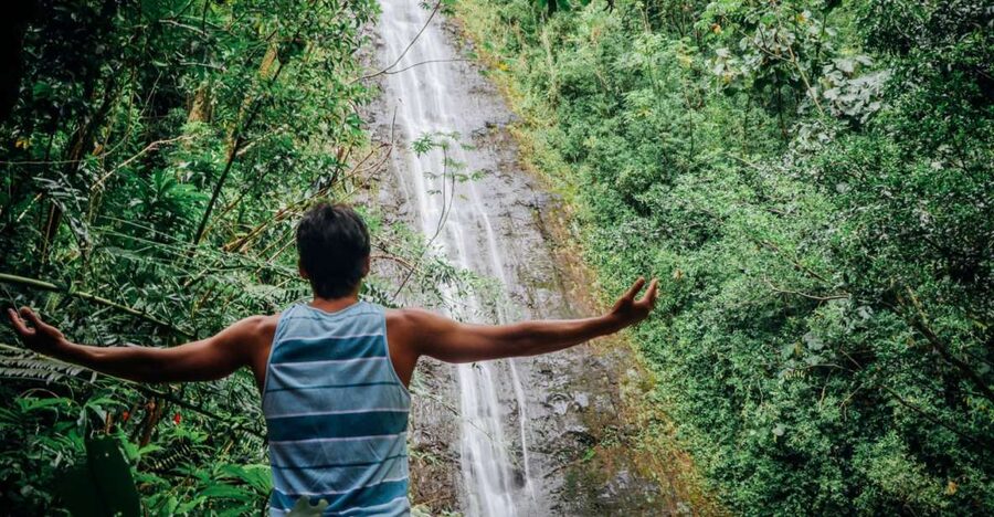 Oahu: Manoa Falls Waterfall Hike with Lunch and Transfers - Why this half-day outing earns attention