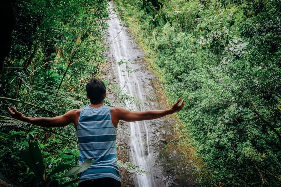 Oahu: Manoa Falls Waterfall Hike with Lunch and Transfers - Prepare for rain, mud, and mosquitoes