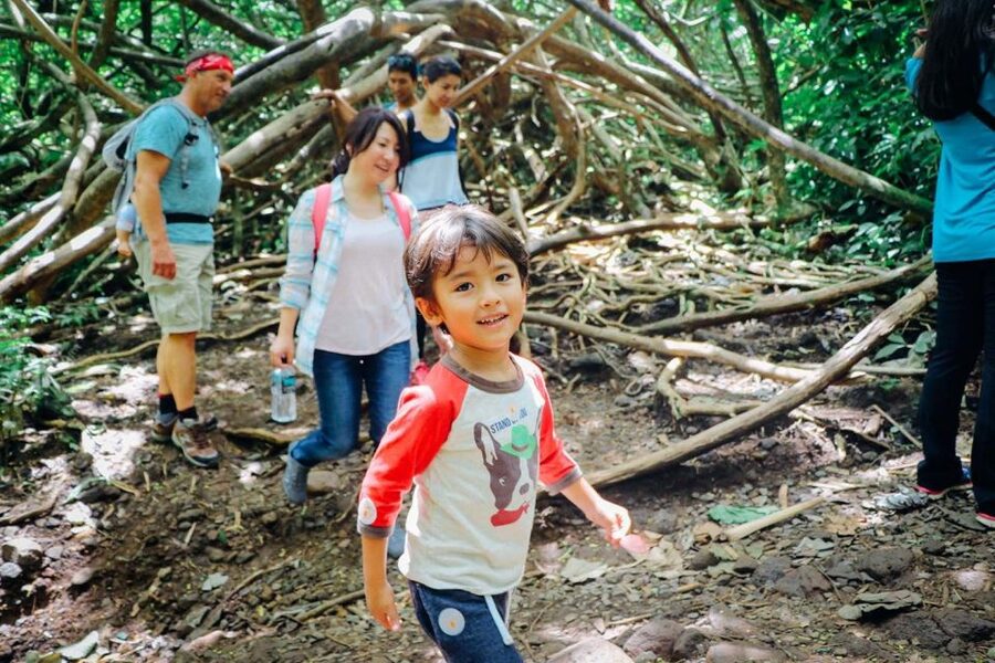 Oahu: Manoa Falls Waterfall Hike with Lunch and Transfers - Who should book this Manoa Falls tour?