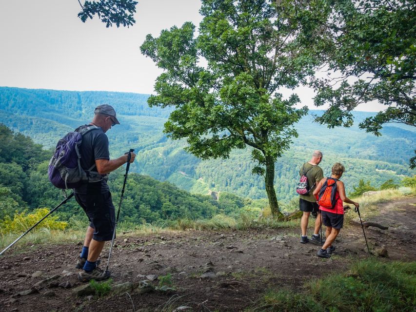 One Day Wonder Hike - The Essence of the Danube Bend - The one-hour ride from Budapest to Dömös