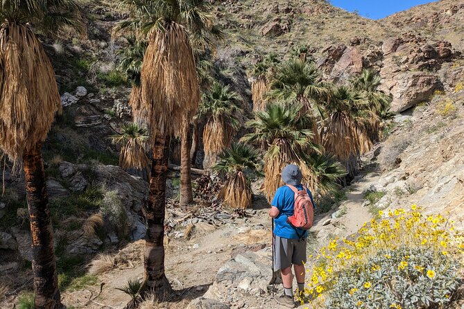 Palm Springs Hike to an Oasis and Amazing Desert Views - Key Points Before You Book