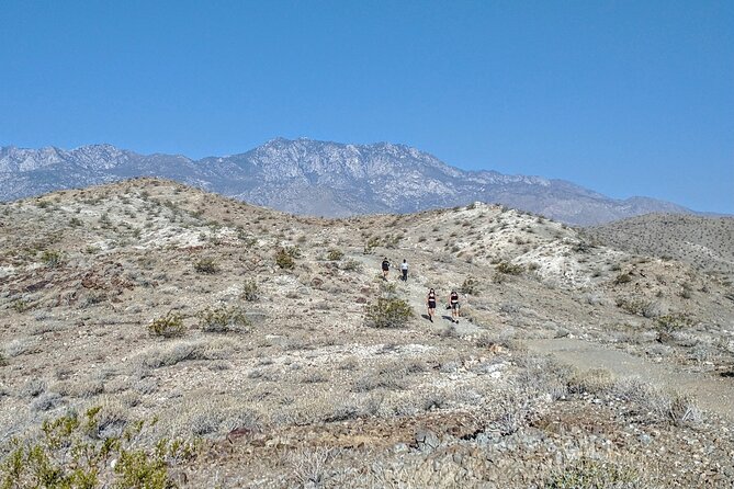 Palm Springs Hike to an Oasis and Amazing Desert Views - A Local Trail Instead of the Easy-to-Find Routes
