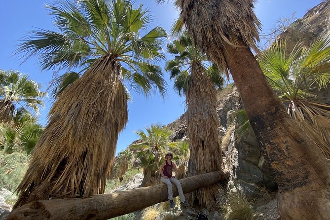 Palm Springs Hike to an Oasis and Amazing Desert Views - Viewpoints Across the Coachella Valley