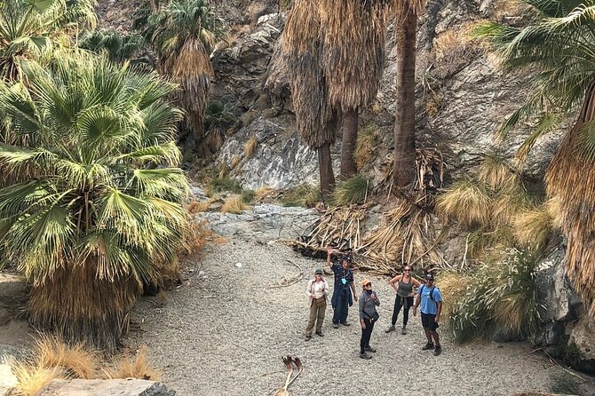 Palm Springs Hike to an Oasis and Amazing Desert Views - Winter Wildlife and Seasonal Expectations