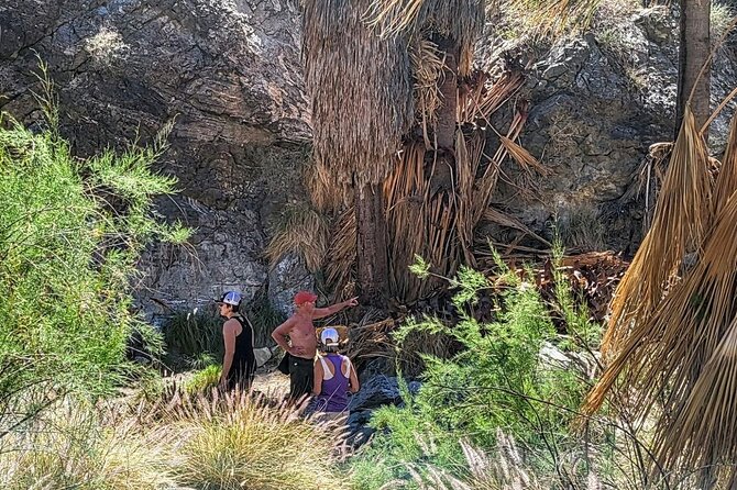 Palm Springs Hike to an Oasis and Amazing Desert Views - What the $67 Price Really Covers