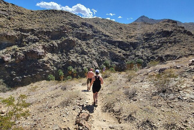 Palm Springs Hike to an Oasis and Amazing Desert Views - Who Will Enjoy This Hike Most