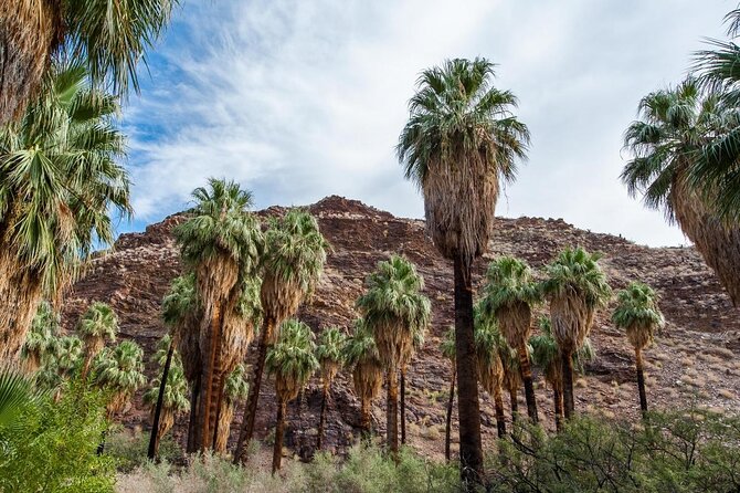 Palm Springs Indian Canyons Bike and Hike - Key points to know before you book