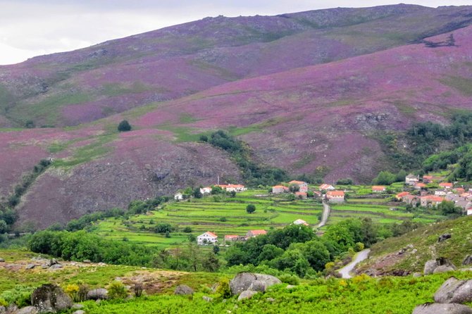 Peneda-Gerês Hiking & Sightseeing: Private Experience - Starting with Pedra Bela’s long mountain views