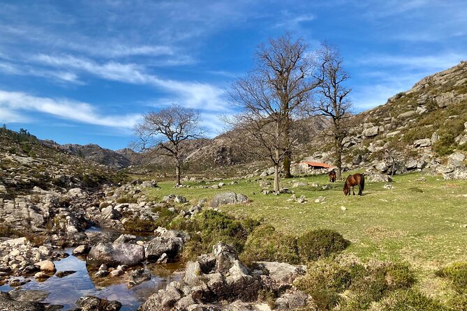 Peneda-Gerês Hiking & Sightseeing: Private Experience - Transfers from Porto, Braga, and Guimarães