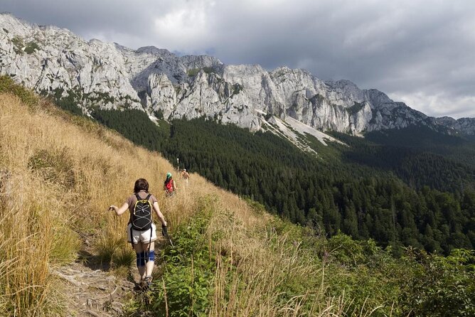 Piatra Craiului National Park Private Hiking Tour from Brasov - Key points at a glance