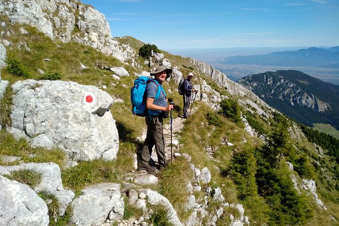 Piatra Craiului National Park Private Hiking Tour from Brasov - Guides who shape the day