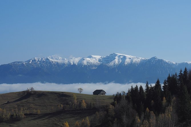 Piatra Craiului National Park Private Hiking Tour from Brasov - Lunch in the mountains, with one important warning