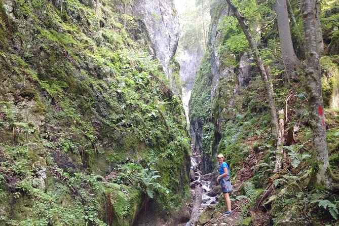 Piatra Craiului National Park Private Hiking Tour from Brasov - What the $126.98 price really covers