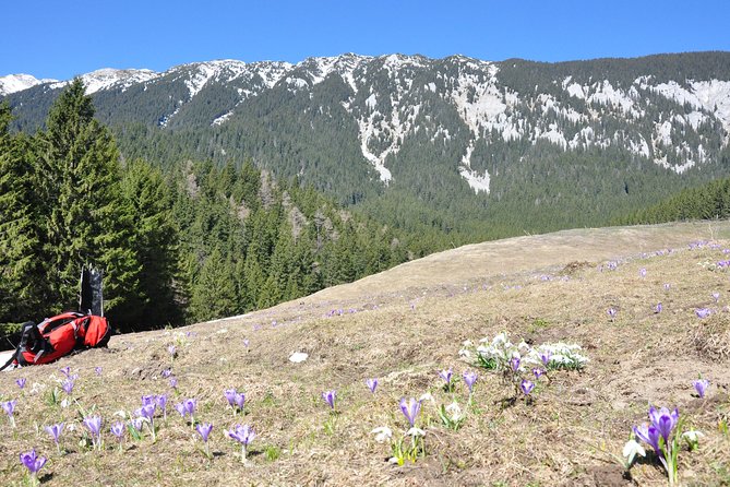 Piatra Craiului National Park Private Hiking Tour from Brasov - How hard is this hike?