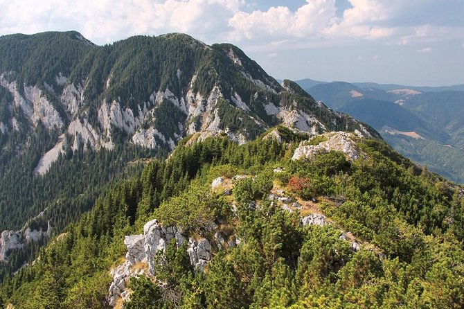 Piatra Craiului National Park Private Hiking Tour from Brasov - Choosing between an easier day and a serious climb