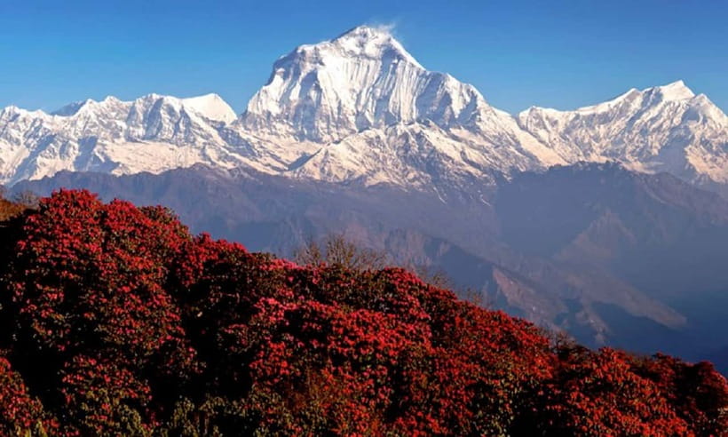 Pokhara: 3-Day Ghorephani and Poon Hill Private Trek - Who should book this trek?