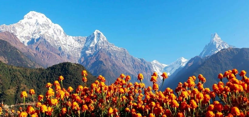 Pokhara: 4-Day Ghorepani, Poonhill & Ghandruk Mountain Trek - Leaving Pokhara for Ulleri