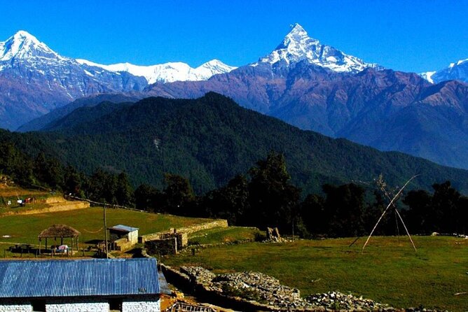 Pokhara: Easy Day Hike to Australian Camp & Dhampus Village - Why this short Pokhara hike works so well