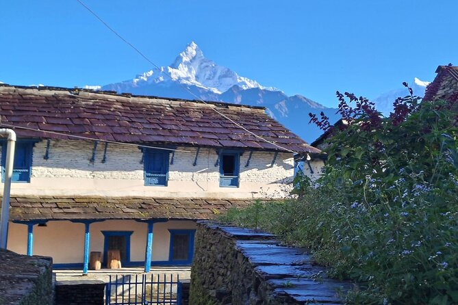 Pokhara: Easy Day Hike to Australian Camp & Dhampus Village - Australian Camp: the high point of the day