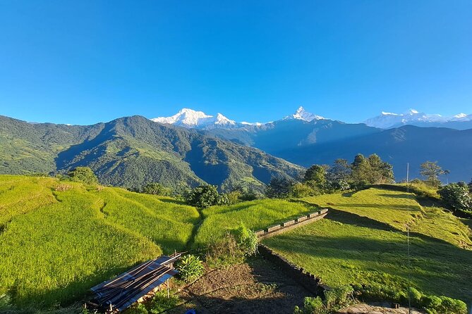 Pokhara: Easy Day Hike to Australian Camp & Dhampus Village - Guides who make the difference