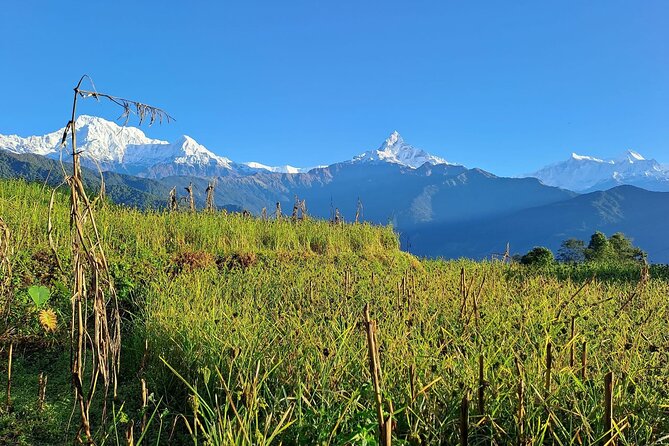 Pokhara: Easy Day Hike to Australian Camp & Dhampus Village - Is $58 good value?