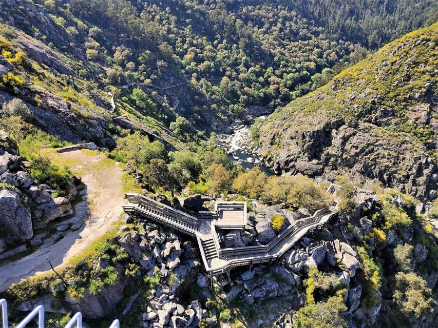 Porto: Paiva Walkways and Suspension Bridge Hike with Lunch - Who should book this experience?