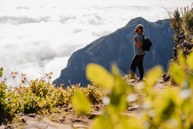 PR1 Sunrise Pico do Arieiro Self-Guided Hiking Transfer - Why this transfer works so well for a Madeira hike
