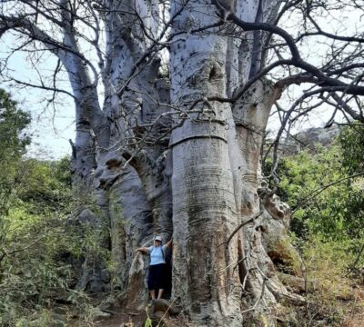 Baobab Mysterious Tree, Green Valley & Old City Hike