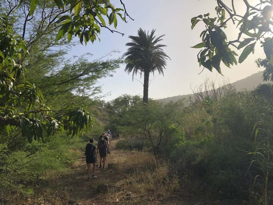 Praia: Baobab Mysterious Tree, Green Valley & Old City Hike - Learning about local life without a lecture