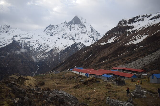 Private 7 - Day Annapurna Base Camp Trekking - Day three: Bamboo to Deurali through the forest
