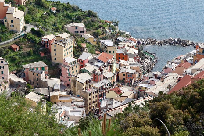 Private Cinque Terre Trek & Tour - Descending into Manarola