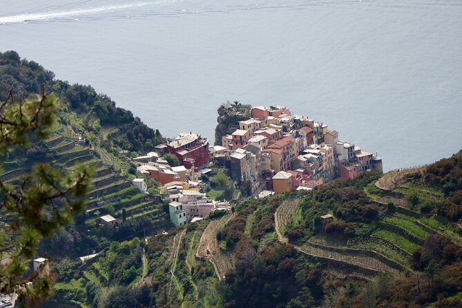 Private Cinque Terre Trek & Tour - What makes the guide valuable