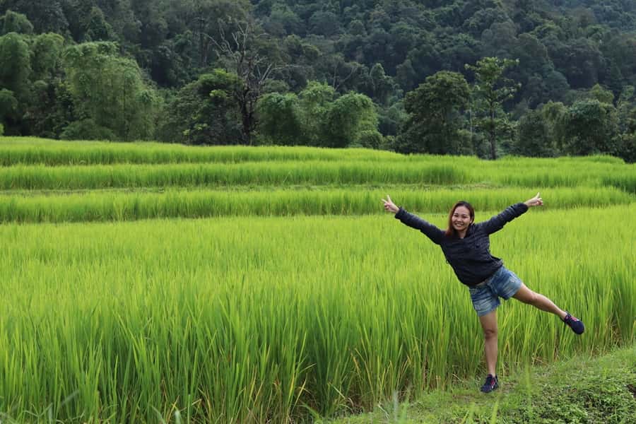 Private Doi Inthanon With Trekking Pha Dok Siew Nature Trail - Key things to know before booking
