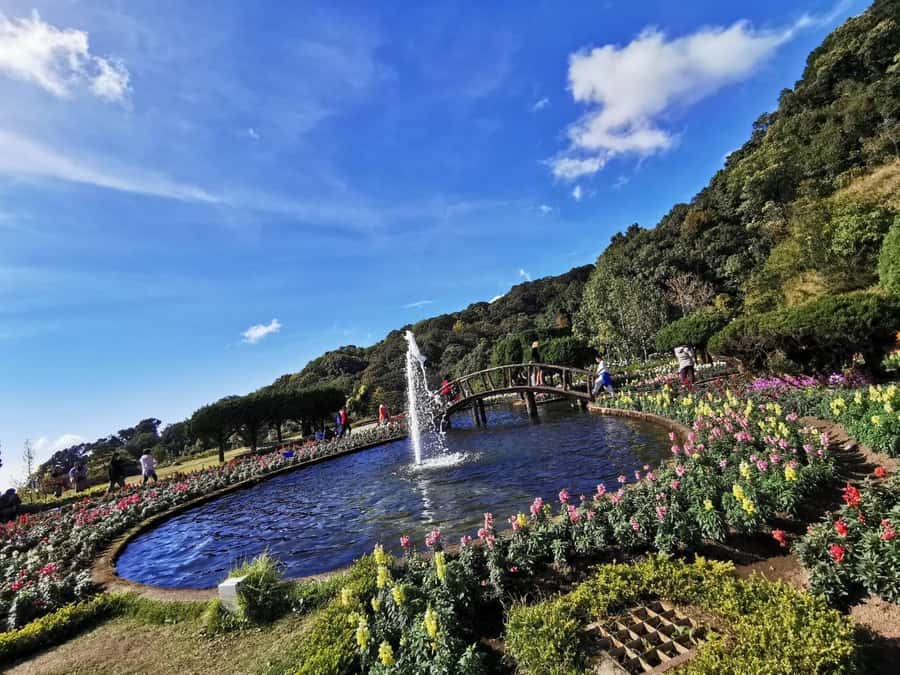 Private Doi Inthanon With Trekking Pha Dok Siew Nature Trail - Doi Inthanon’s summit and the cool mountain air