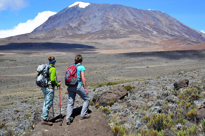 Private Full Day Hiking Experience to Marangu Route - Walking the Marangu Route Through the Rainforest