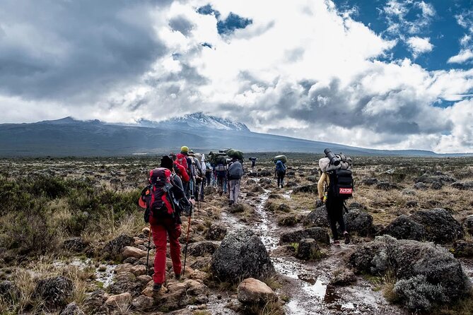 Private Full Day Hiking Experience to Marangu Route - Who Will Enjoy This Day Hike Most?
