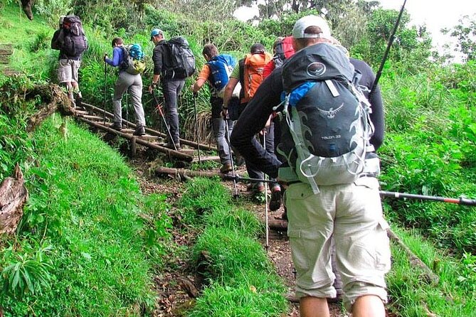 Private Full Day Hiking Experience to Marangu Route - What to Pack for the Marangu Route