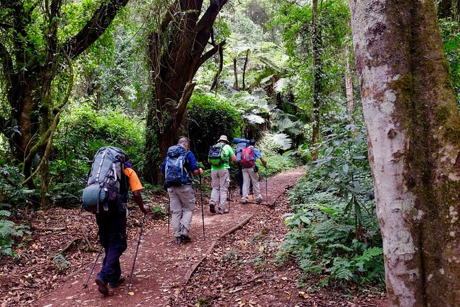 Private Full Day Hiking Experience to Marangu Route - Booking, Cancellation, and Practical Details