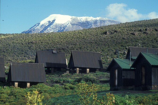 Private Full Day Hiking Experience to Marangu Route - Reaching Mandara Hut