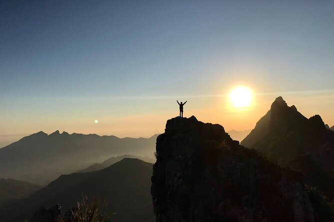 Private Hiking to La M in Chipinque Ecological Park - The forest approach is the gentler half