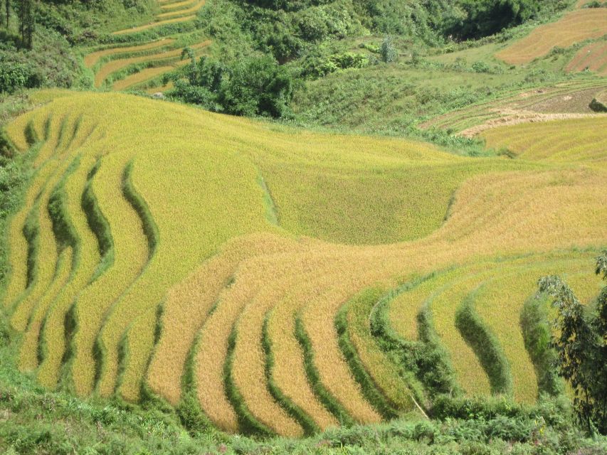 Private Hoang Lien National Park & Tribal Village Trek - Starting the 10-kilometre bamboo forest trek