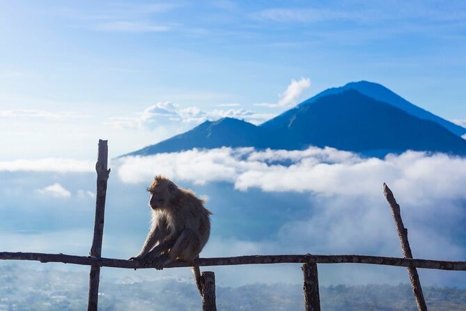 Private Mount Batur Sunrise Trekking Tour - Breakfast cooked over volcanic steam