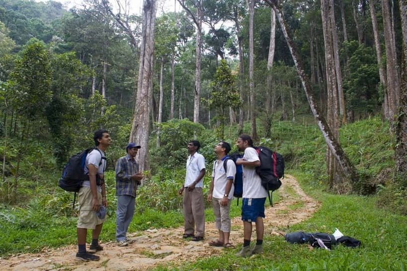Private Munnar Tea Trek - Who should book this Munnar trek?