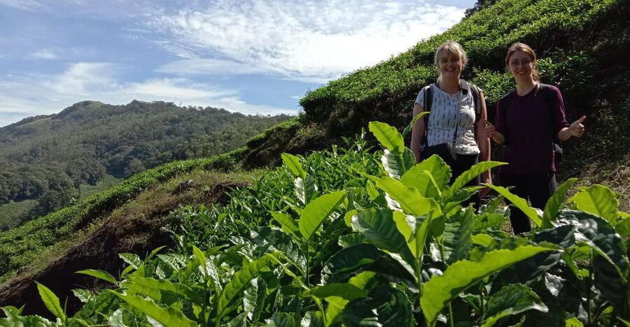 Private Munnar Tea Trek - Walking into Munnar’s tea country