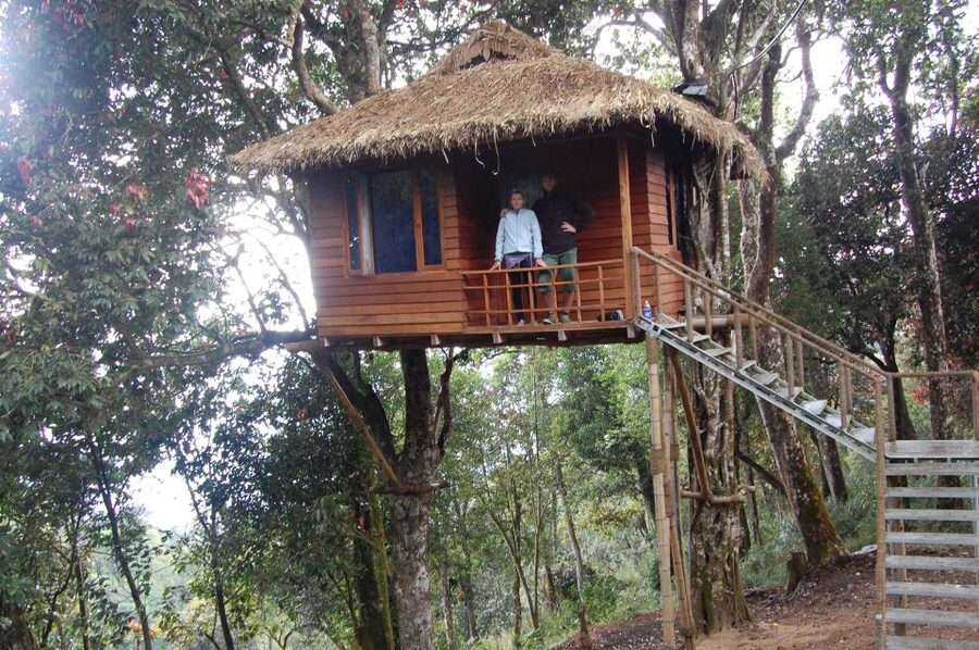 Private Munnar Tea Trek - Birds, plants, and possible wildlife