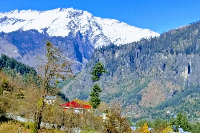 Private One Day Hiking Trip in Manali, Scenic Mountain Trail in Manali - What this Manali hiking day is really like