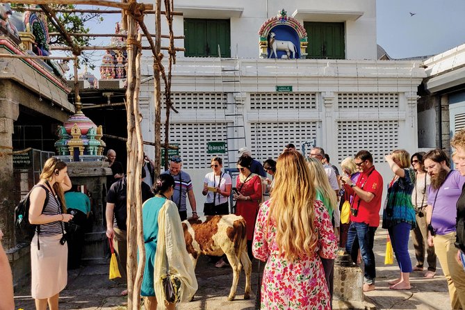 Private Peacock Trail Walking Tour in Mylapore - Why Mylapore makes a smart first Chennai walk