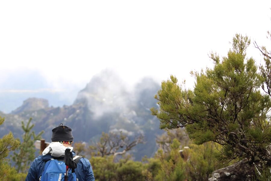 Private Sunrise Hike to Pico Ruivo with Hotel Pickup - Who should book this experience?
